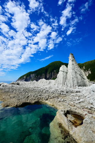 青森県　バイオフィリックデザイン