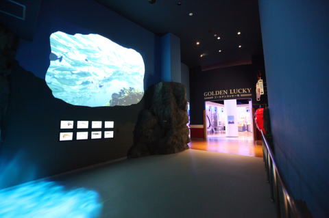 美術館・水族館の映像・音響システム